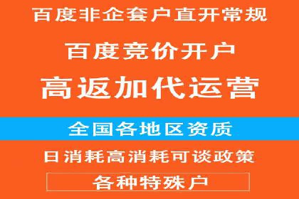 百度竞价SEM案例：如何利用数据分析优化广告效果